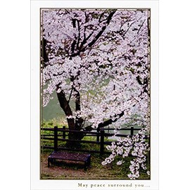 Sakura Bench and Cherry Blossom Tree Snapshot Sympathy Card