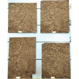 Walnut Burl Wood Veneer 20" x 21" raw no Backing 1/42" Thickness AAA Grade #137