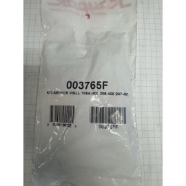 Raypak 003765F RAYPACK KIT-SENSOR WELL 105-405 206-408 207-407
