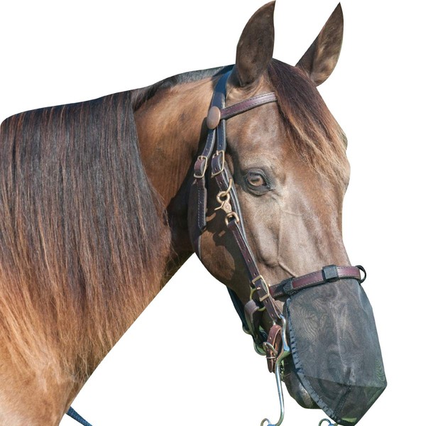 Cashel Quiet Ride Horse Fly Nose Net, Medium