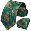 HISDERN Green Ties for Men Paisley Mens Tie Pocket Square