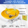 304 Stainless Steel Eye Wash Station, Wall-Mounted Emergency Eye Washer-