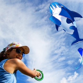 HENGDA KITE 3D Whales Kite,with 700 Feet Kite Reel String,for Kids and Adults,Easy to Fly,The Pictures are Beautiful in high Definition,Suitable for Beginners Blue