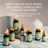 Loviral Softgels 60 ct. Herbs Etc.