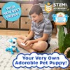 Robo Pets Robot Dog Toy for Girls and Boys -