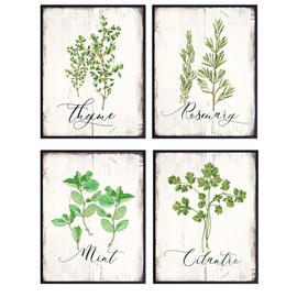 Botanical Herbs and Spices Kitchen Decor - Dining Room Decor - Larousse Gastronomique Wall Art for Cafe, Restaurant - Gift for Cooks, Chefs - Rustic Vintage Sign Photo Decoration - 8x10 UNFRAMED