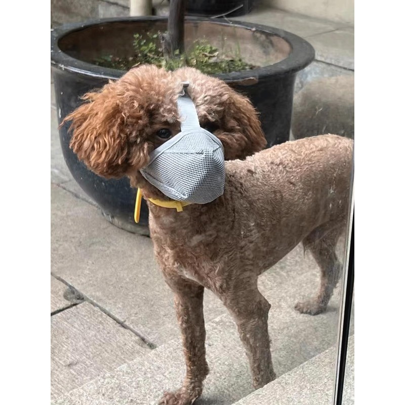 Dog Muzzle for Large Medium Small Dogs, Full-Covered Soft Mesh