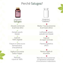 BIOSNEL Enhanced Formula Salugea - Supplement for cellulite and water retention - 60 capsules - 100% natural with Pineapple, Garcinia, Red Vine, Gynostemma - In Dark Glass