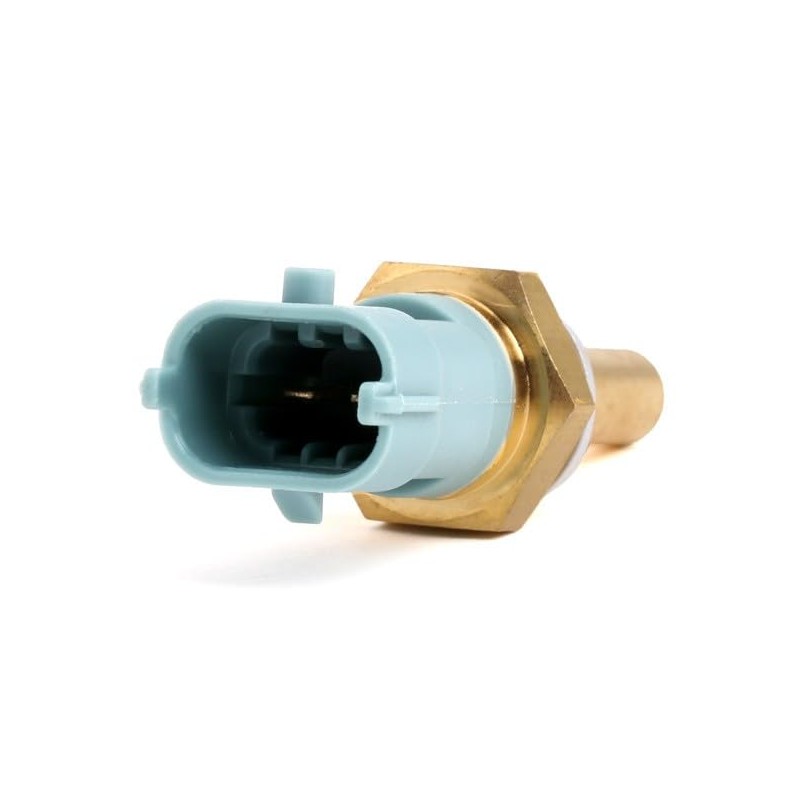 Delphi TS10253 Switch