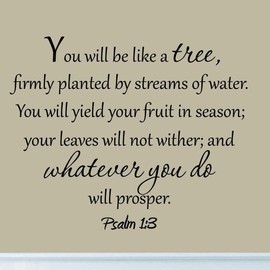 VWAQ VWAQ-30644 You Will Be Like a Tree Wall Decal, Black
