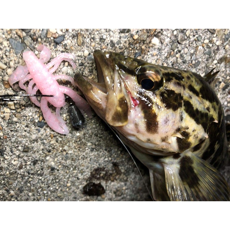 Berkley G2SQCRBY2-CGBFO Gulp! SW Crab Lure, 2 Inches, Chartreuse Green