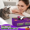 Cat Hallowen Advent Calendar 2025,13 Days Cats Toys Countdown Calendar