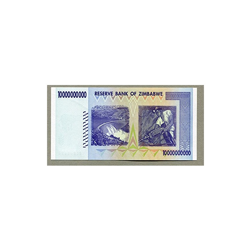 Simbabwe 10 Billion Dollar Banknote Bill Money Inflation Record Currency