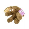 Animal Adventure Plush Stuffed Animal Brown Bunny Rabbit Butterflies Raina