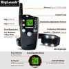 The BigLeash S-15 Remote Dog Training Collar with FireFly Nightlight