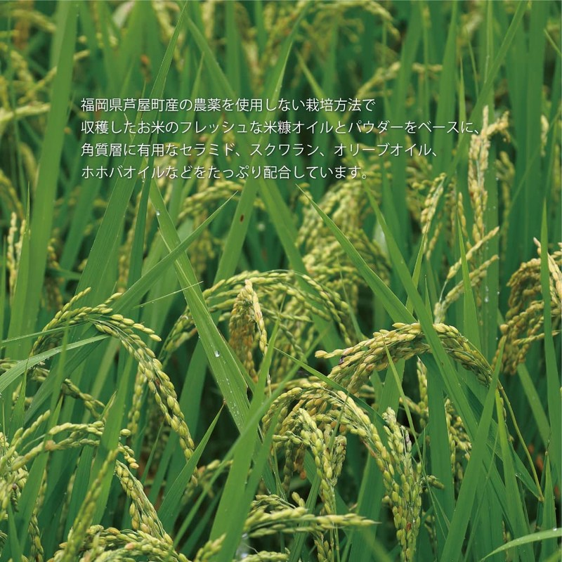 EN Rice Bran Ultra Gel