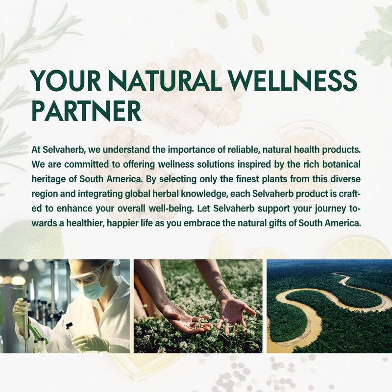 Selvaherb Horsetail Herb (Cola de Caballo Hierba) Drops for Body