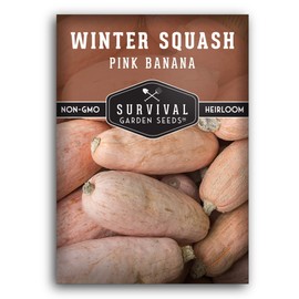 Survival Garden Seeds - Pink Banana Winter Squash Seed for Planting - Pack with Instructions to Plant and Grow Unique Winter Vegetables in Your Home Vegetable Garden - Non-GMO Heirloom Variety