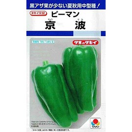 Takii Seedlings, Green Peppers, Kyonami