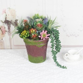 COTSEN 25 Pcs Artificial Succulent Plants Fake Succulents Assorted Unpotted Suitable for Office Garden Interior Decor