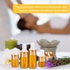 Ipetboom 30 Piezas Pequeña Botella De Aceite Esencial Mini Herramientas