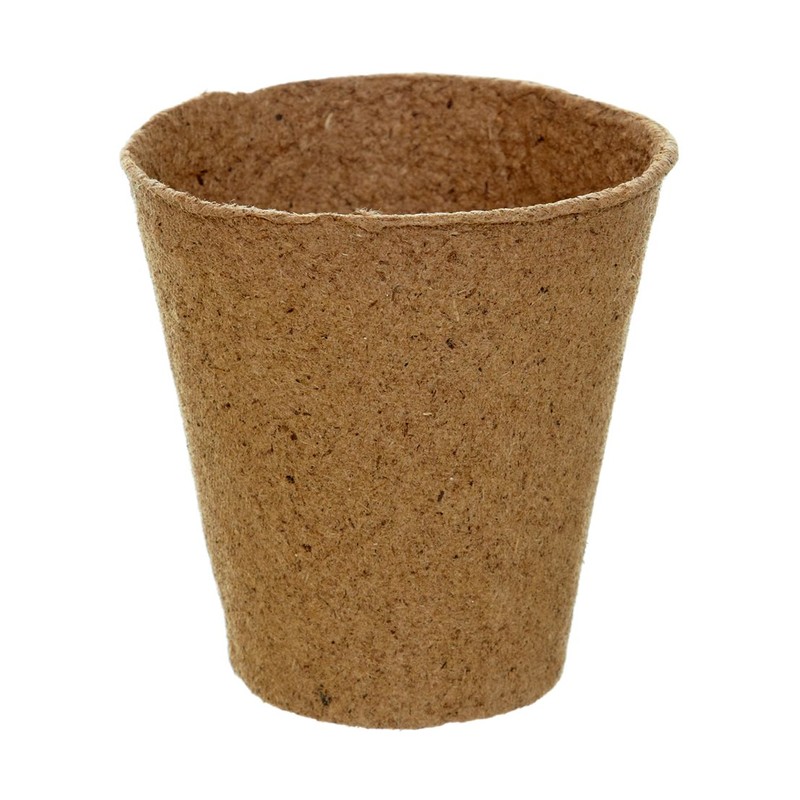 Dehner Growing Pots for Plants, round, Diameter 8 cm, Pack of