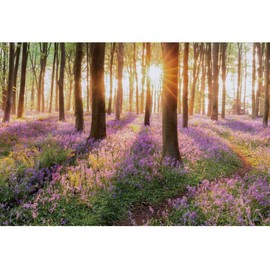 shensu Vinyl 7x5ft Summer Forest Scenic Backdrops Sunshine Meadow Purple Flowers Photography Background Kids Baby Art Portrait Photoshoot Booth Natural Scenery Studio Photo Props Party Decoration