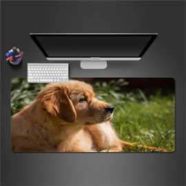 Bushiroad Deck Holder Collection V3 Vol. 1034 "The Idolmaster Cinderella Girls" Akari Tsujino Awake ☆ Akari Apple Version