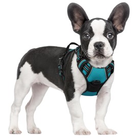 rabbitgoo Dog Harness, No-Pull Pet Harness with 2 Leash Clips, Adjustable Soft Padded Vest, Reflective No-Choke Pet Oxford Vest with Easy Control Handle for Small Dogs, Teal, S