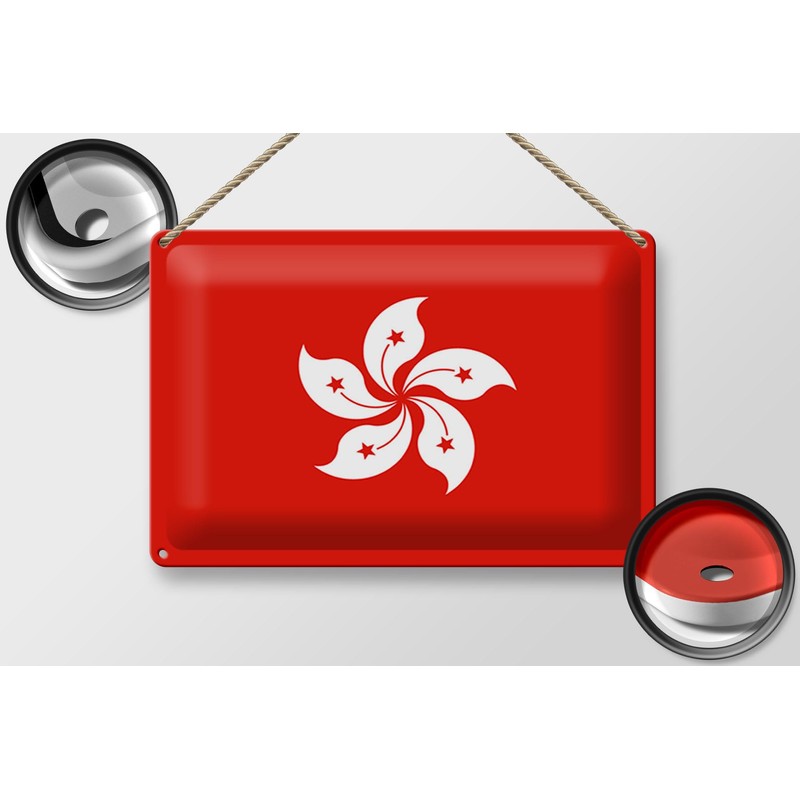 FEMER Blechschild Flagge Hongkong 30x20cm Flag of Hong Kong