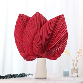 Large Dried Palm Leaves-17.7" Dried Palms Spear Plant Fans for Home Office Boho Decor | Tropical Wedding Decor | Party Table Decoration | Dried Wedding Flowers and Leaf Decor (Red,3 PCS)