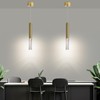 Mikeru 2 Pack Cylinder Ceiling Suspension Pendant Light, 3 Color