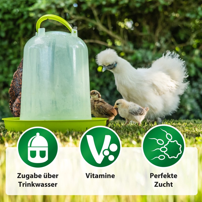 Rohnfried Vitamin AD3EC 250ml (improves fertility). Pigeons and Birds