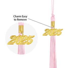 graduation cap tassels,Graduation Cap Decorations,1pcs pink Graduation Tassel,2025 tassel graduation,tassel charm,graduation hanging decorations,2025 cap tassel charm,graduation decorations ornament