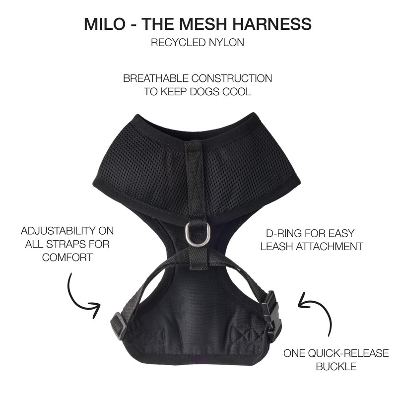 Pet Passion Milo - The MESH Harness, Black, XX-Large