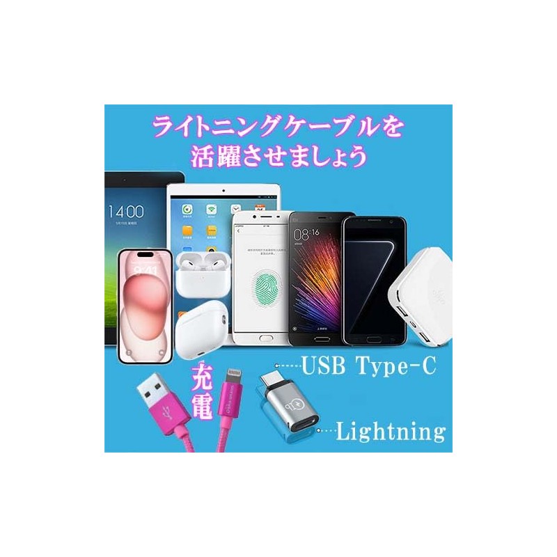 Lumen Lumen Lightning Female to USB Type-C Male Converter Adapter