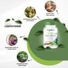 Liver Vitamins: Milk Thistle Alpha Lipoic Acid, Artichoke, Vitamins C,