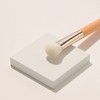 THE TOOL LAB The Tool Lab 156 Small Cheek &