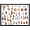 22x30 Shadow Box Black Solid Wood Display Frame | 2