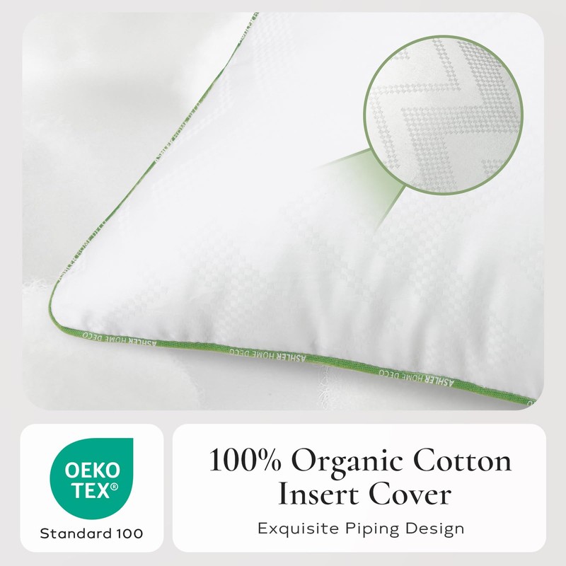 Ashler Home Deco 12x20 Pillows Insert (Set of 2) -