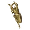 Ebros Gift Medium Gold Resin 3 Horned Rhinoceros Beetle Wall