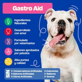 Dogelthy Gastro Aid. Pre + Probioticos con +3 Billones de UFC x Scoop. Suplemento para Perros. Complemento para Croquetas o Dieta Barf de 270g (Cerdo)