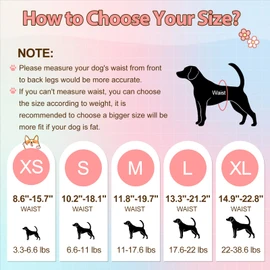 Ambreview Disposable Dog Diapers Female, Just Pull It Up, Doggie Diapers for Female Dogs, Strong Absorbency | Leak Proof, for Dogs in Heat | Elderly | Disabled, S 10 PCS