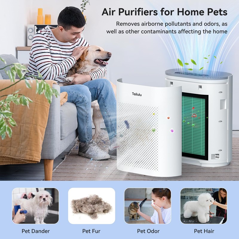Tailulu Air Purifier Filter HQKJ-180 Air Purifier, H14 Grade True