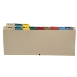 Carstens Heavy Duty Plastic Monthly Divider Set, 12-Tab, Multi-Color, for Side-Opening 3-Ring Binders