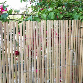 FOREVER BAMBOO Natural Split Rolled Bamboo Fence Panel for Garden Privacy Fence Screen for Indoor or Outdoor 6 Ft H x 6 Ft L