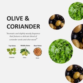 Cucina Fruits & Passion Coriander and Olive Tree Dish Detergent Refill 33.8 fl oz - 2 Pack, Made in Canada