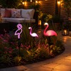 Solar Flamingo Garden Lights for Outdoor Pathway Decor – Waterproof