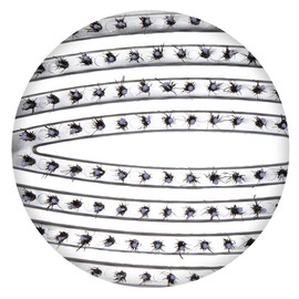 Olivia Garden FingerBrush Scalp-Hugging & Vented Combo Paddle Hair Brush (ionic & 100% boar bristles) FBCO-GD (Grande)