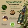 Rosemary & Biotin Hair Growth Kit, Rosemary Oil for Hair